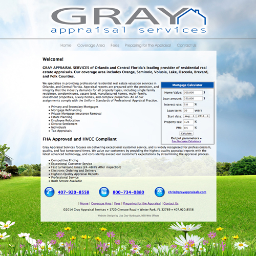 NSB Web Effects website design 20