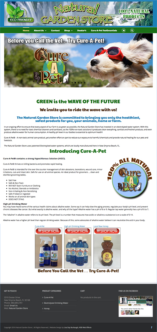 NSB Web Effects website design 31
