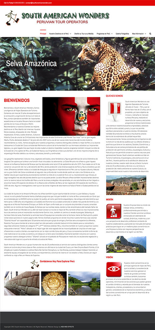 NSB Web Effects website design 40